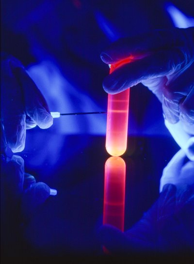 Extração de nucleótidos de ARN de um tubo de centrifugação de plástico. de Ted Spiegel
