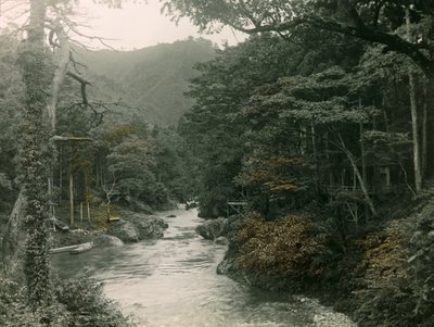 Floresta de outono na região de Yamanaka, cerca de 1900 - 1915 (fotografia) de Teijiro Takagi