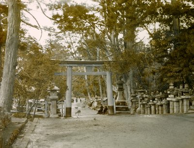 Entrada do Santuário das Lanternas no Parque Kasauga Taisha, Nara, cerca de 1900 - 1915 (fotografia) de Teijiro Takagi