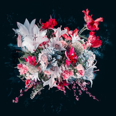 Bouquet V, 2018 (foto) de Teis Albers