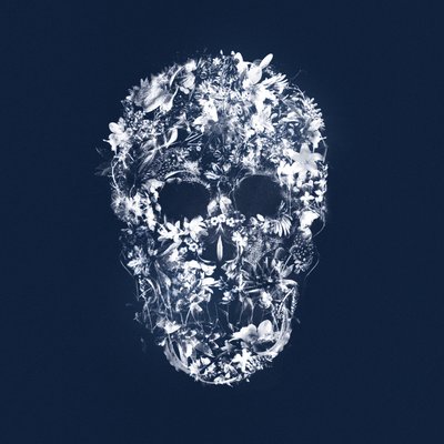 FloralSkull, 2018 (meios mistos sobre tela) de Teis Albers