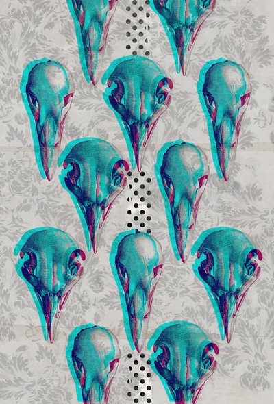 Série de Crânios, 2016 (Colagem sobre tela) de Teis Albers