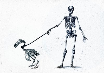 Walking my dodo, 2015 (meios mistos sobre tela) de Teis Albers