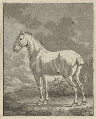 Molde em um prado de Tethart Philip Christian Haag