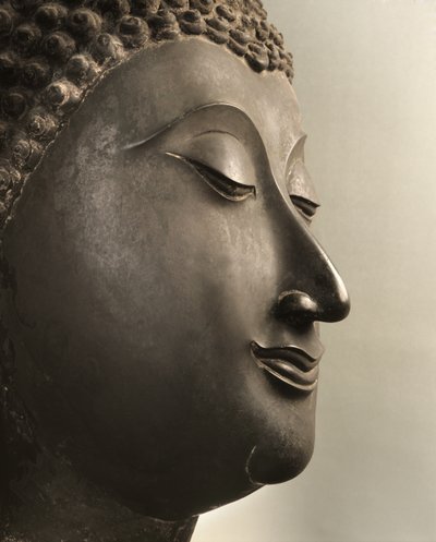 Cabeça de Buda, período de Sukhothai de Thai School