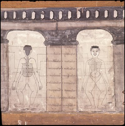 Representação de pontos de massagem no corpo humano (pintura de parede) de Thai School
