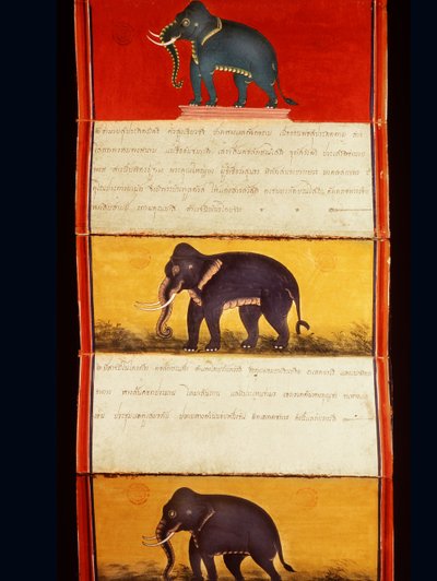 Fólio de um manuscrito sobre treinamento de elefante (caneta e tinta e wc no papel) de Thai School