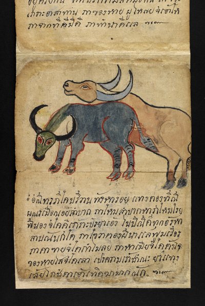 Ou. 16482, f.15 