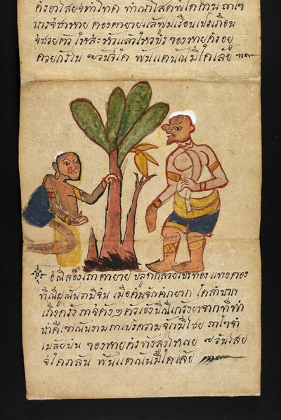 Ou. 16482, f.21 