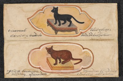 Gatos siameses, Fol. 1: dois gatos sortudos para apoiar os negócios e a acumulação de riqueza, Or. 16797, f.1 (pergaminho) de Thai School