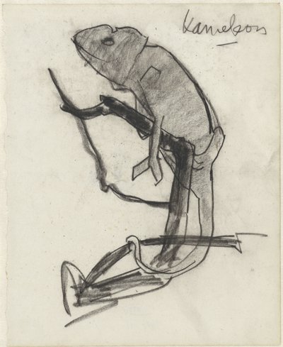 Camaleão de Theo Nieuwenhuis