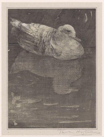 pato flutuante de Theo van Hoytema (signed by artist)