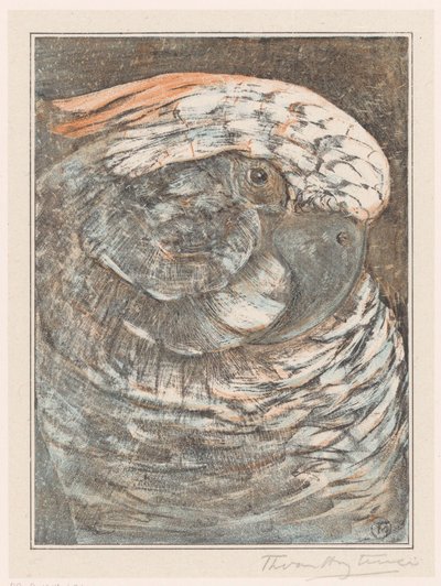 Cabeça de um papagaio de Theo van Hoytema (signed by artist)