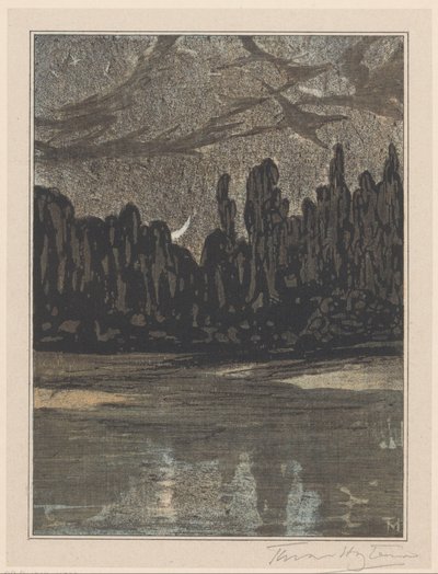 Paisagem nocturna com aves migratórias de Theo van Hoytema (signed by artist)