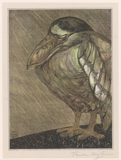 Garça-branca à chuva de Theo van Hoytema (signed by artist)