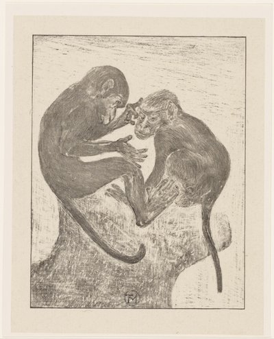 Dois macacos da pulga de Theo van Hoytema (signed by artist)