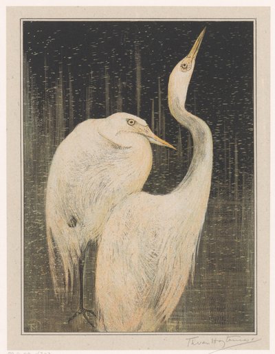 Duas egrets de Theo van Hoytema (signed by artist)