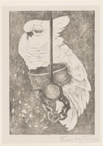 cacatua branca de Theo van Hoytema (signed by artist)