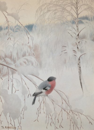 Curió de Theodor Kittelsen