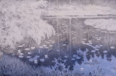 Há uma lagoa em Svartebudale de Theodor Kittelsen