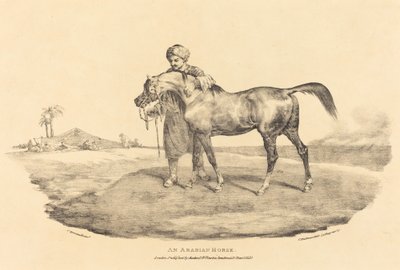 Um cavalo árabe de Theodore Gericault