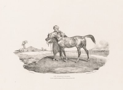 Um cavalo árabe de Theodore Gericault