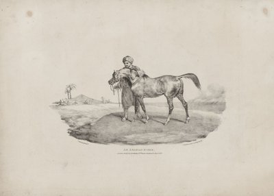 Um cavalo árabe de Theodore Gericault