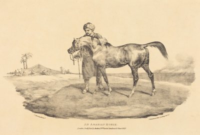 Um cavalo árabe de Theodore Gericault