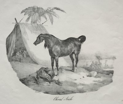 Cavalo árabe de Theodore Gericault