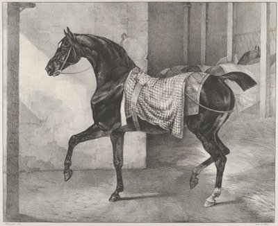 Cavalo preto amarrado numa estrebaria de Theodore Gericault