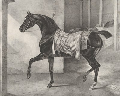 Cavalo preto amarrado em um estábulo, 1822. de Theodore Gericault