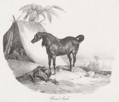 Cavalo Árabe (An Arabian Horse) de Theodore Gericault