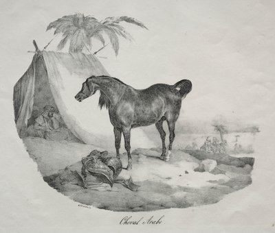 Cavalo árabe de Theodore Gericault