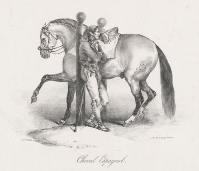 Cavalo Espanhol (A Spanish Horse) de Theodore Gericault