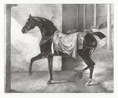 Cavalo preto amarrado num estábulo (A Black Horse Tethered in a Stable) de Theodore Gericault