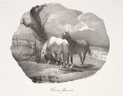 Cavalos flamengos de Theodore Gericault