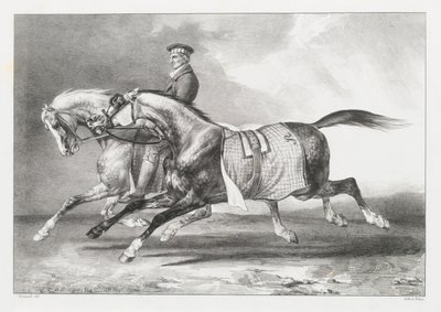 Dois cavalos cinzentos malhados a serem passeados (Two Dapple-Grays Being Exercised) de Theodore Gericault