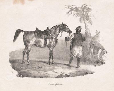 égua egípcia de Theodore Gericault