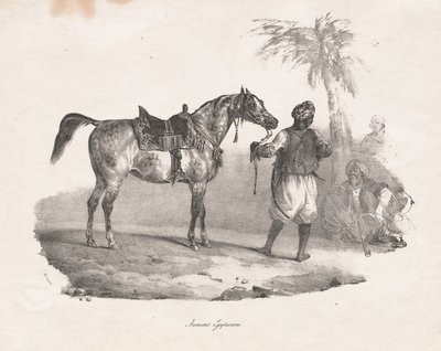 Égua egípcia de Theodore Gericault