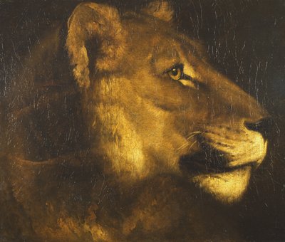 Cabeça de uma leoa de Theodore Gericault