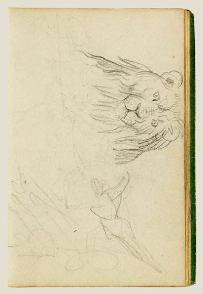Vista frontal de um leão sentado de Theodore Gericault