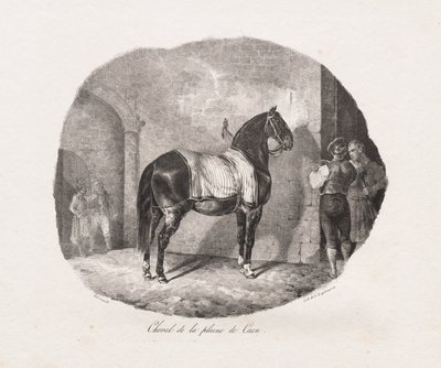 Cavalo da planície de Caen de Theodore Gericault