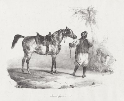 Égua egípcia (An Egyptian Mare) de Theodore Gericault