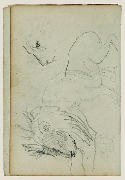 Estudos sobre o leão de Theodore Gericault
