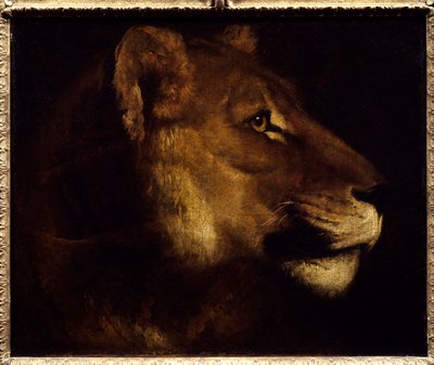Lioness Head Painting de Theodore Gericault (1791-1824) Sol do século XIX. 0,55x0,65 m Paris, Musee du Louvre. - Cabeça de leoa. Pintura de Theodore Gericault (1791-1824) de Theodore Gericault