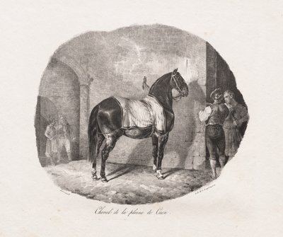 Estudos Litográficos de Cavalos: Pl. 7, Cavalo da Planície de Caen de Theodore Gericault