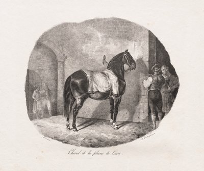 Estudos Litográficos de Cavalos: Pl. 7, Cavalo da planície de Caen, 1822. de Theodore Gericault