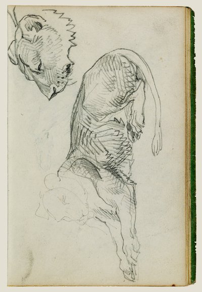 Leão sentado, cabeça de leoa de Theodore Gericault