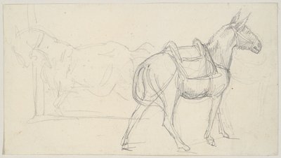 Esboço de um cavalo de Theodore Gericault