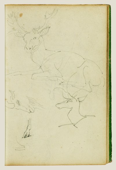 Estudos de um veado sentado, de um cervo-jovem e de uma cabeça de cabra de Theodore Gericault